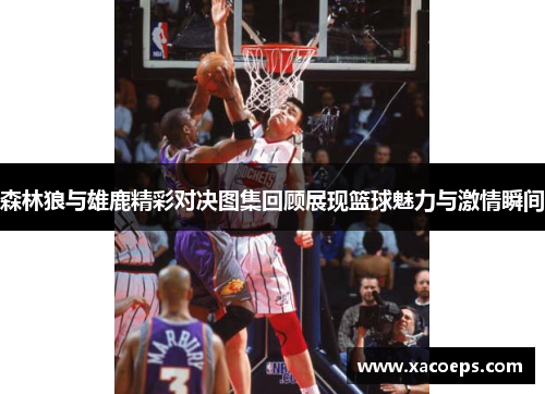 森林狼与雄鹿精彩对决图集回顾展现篮球魅力与激情瞬间